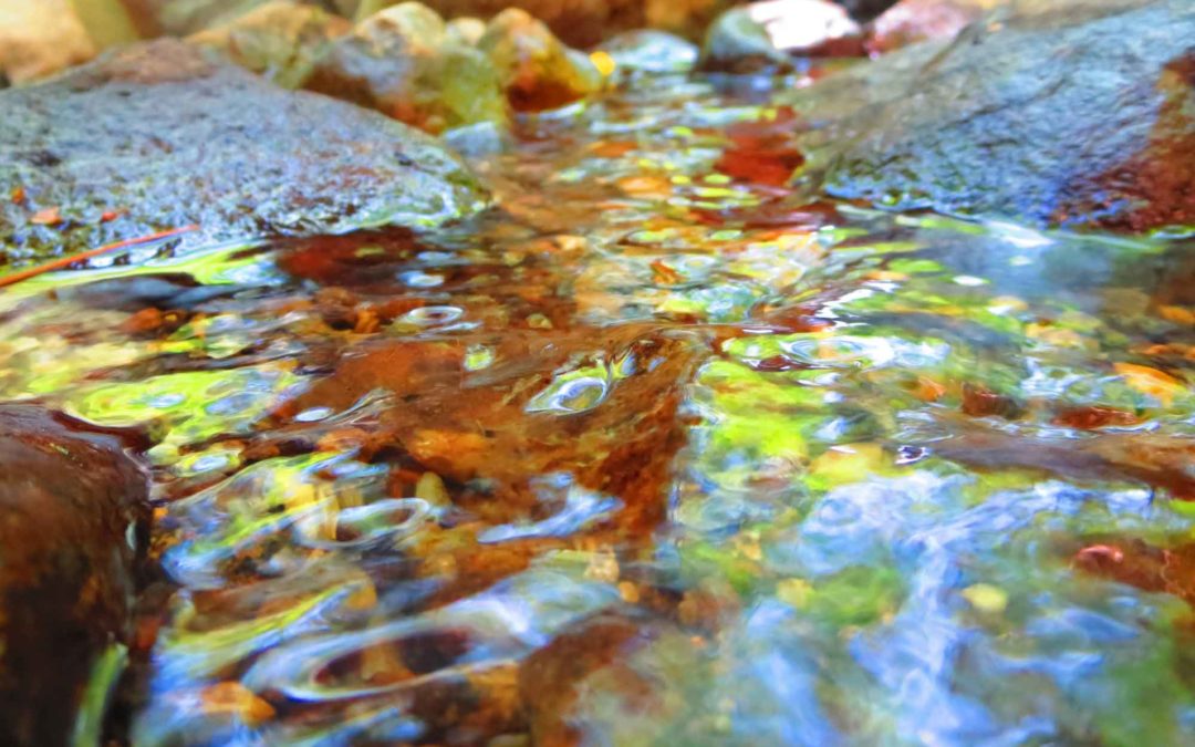 close up of water in stream